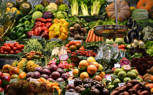Alimentation durable : manger local, de saison et bas carbone