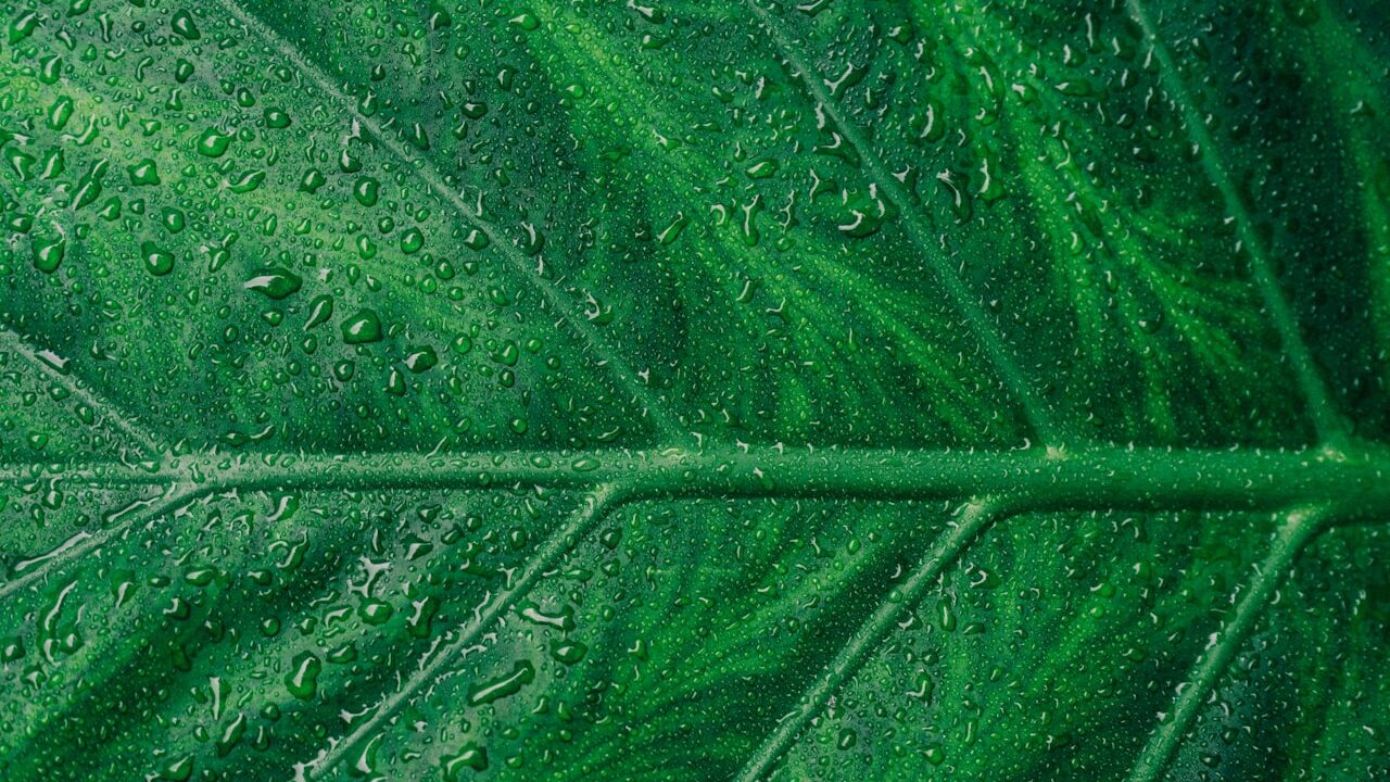 Greenwashing : définition, exemples et comment le reconnaître en 2026