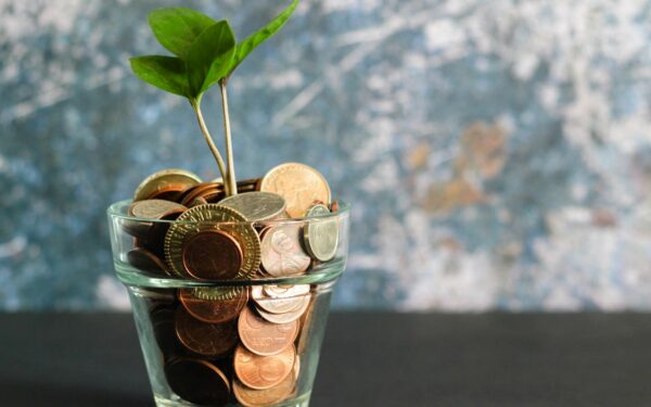 Investissement responsable : placer son argent au service du climat