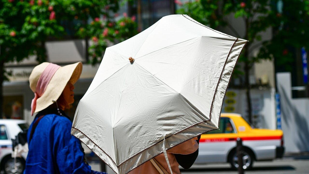 Canicule en Belgique : records de 2026, alertes et bons réflexes pour se protéger