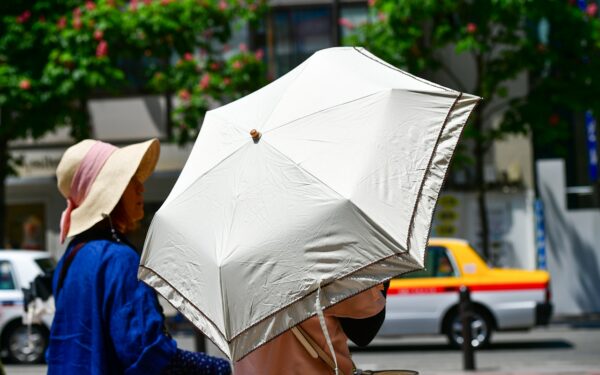 Canicule en Belgique : records de 2026, alertes et bons réflexes pour se protéger