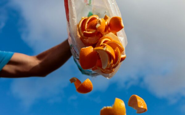 Gaspillage alimentaire en Belgique : jeter moins en 2026