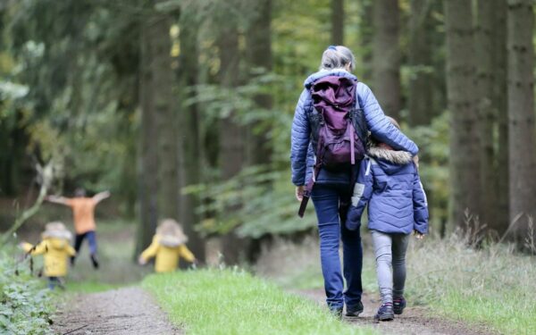 Duurzame vakantie in de Ardennen: tips voor een groen verblijf